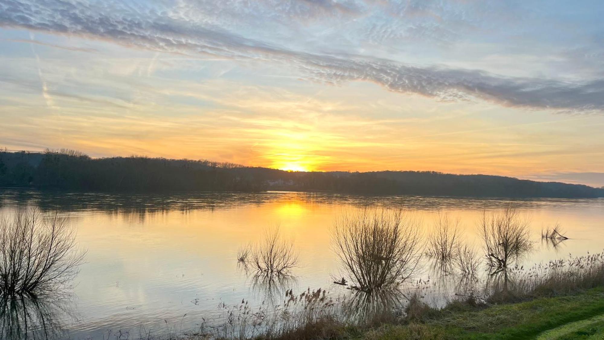 Un Mirage Tropical En Bord De Loire, Love Et Detente Saint-Clement-des-Levees Bagian luar foto